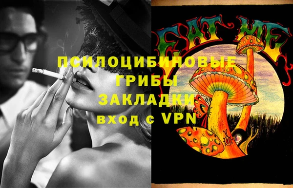 трава Абаза