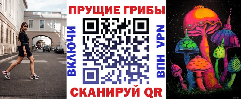где купить наркотик  Кяхта  Галлюциногенные грибы ЛСД 