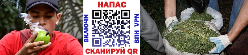 Конопля MAZAR  наркота  Кяхта 